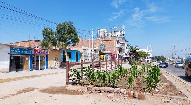 VENTA DE TERRENO EN URBANIZACIÓN FRENTE A LA UCV - CARRETERA PIMENTEL
